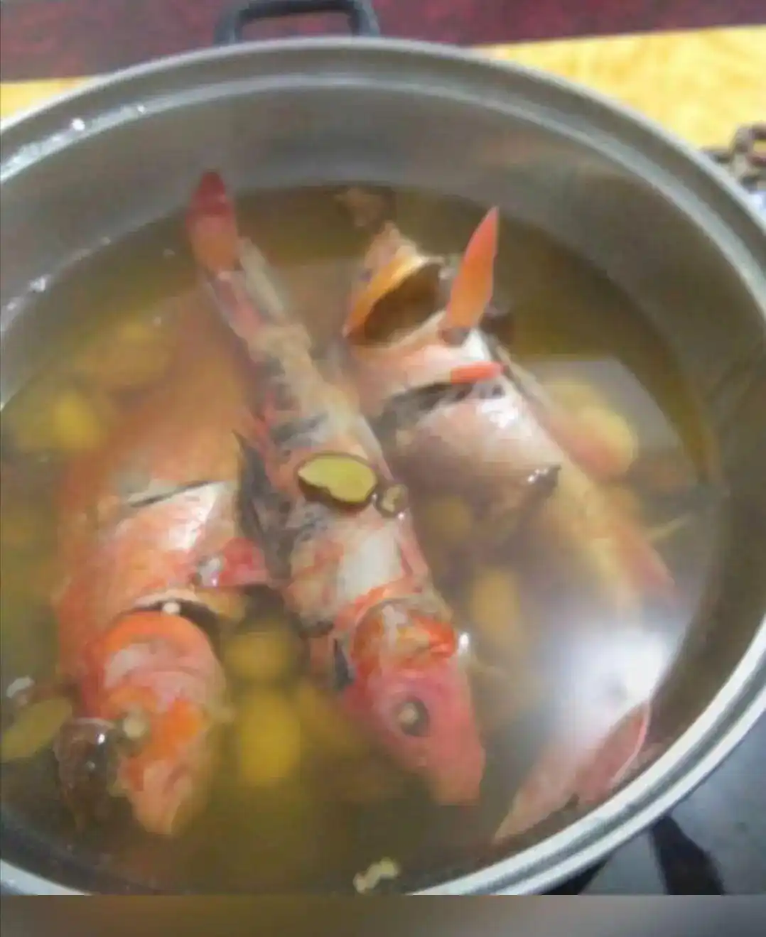 妈妈做的黑暗料理_黑暗料理大赏_明星黑暗料理图片大全高清,